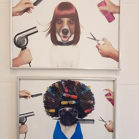 Dom Henrique Nyaraló *