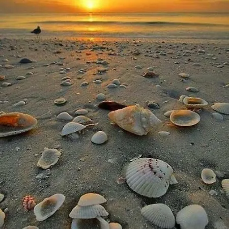 Dom Henrique Сasa de vacaciones Monte Gordo