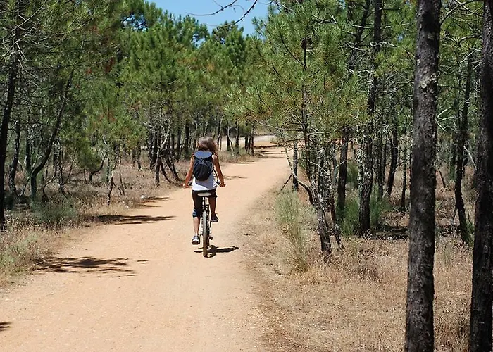 Dom Henrique Prázdninový dům Monte Gordo