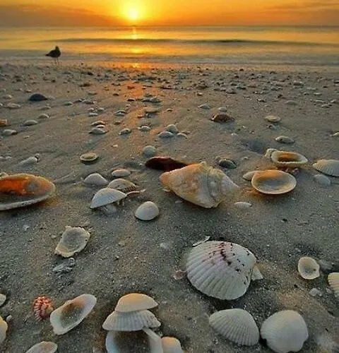 Dom Henrique Prázdninový dům Monte Gordo